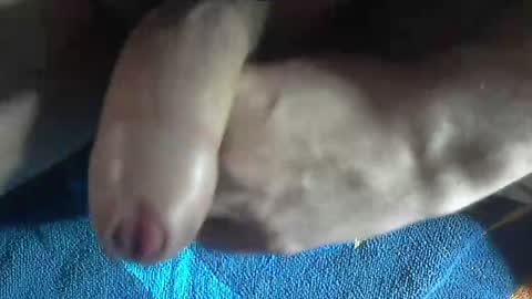 Snapshot of ni983 chatting on December 2024 03:08:02 PM ni983 online show from December 2024 03:08:02 PM