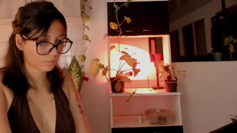 day  online show from October 2025 01:11:01 AM