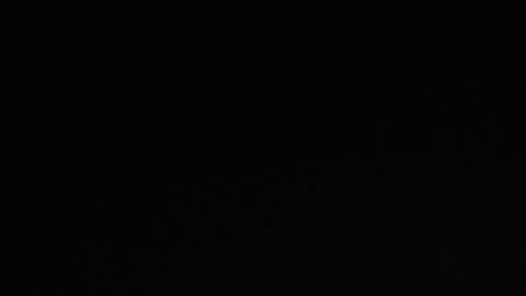 Snapshot of nice_guy_4u_ chatting on February 2025 10:36:02 AM Robin online show from February 2025 10:36:02 AM