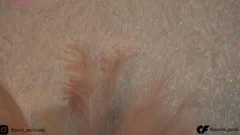 Snapshot of nichole__evans chatting on December 2024 05:33:01 PM nichole__evans online show from December 2024 05:33:01 PM