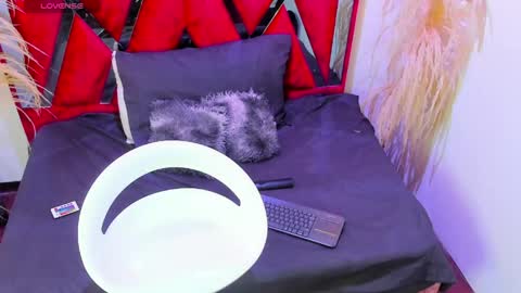 nickk_jonson online show from April 2026 02:37:01 PM