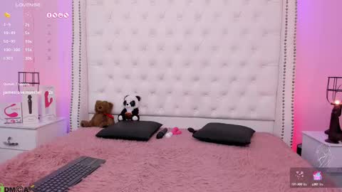 Snapshot of nickky_thompson chatting on February 2025 05:04:02 PM nickky online show from February 2025 05:04:02 PM