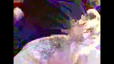 Snapshot of nickyfruit2 chatting on October 2025 09:22:01 AM Nickyfruit online show from October 2025 09:22:01 AM