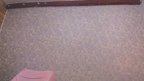 Nicol online show from January 2025 07:21:02 PM