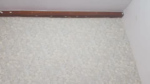 Nicol online show from March 2025 07:09:02 PM