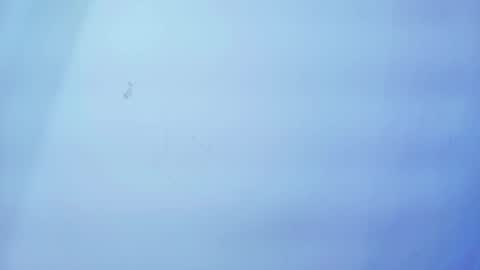 Nicolle online show from January 2026 11:25:01 AM