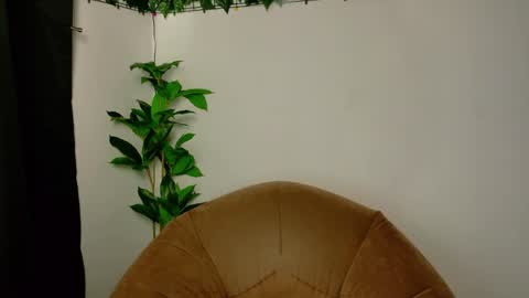 nicoleirisxxx online show from April 2026 05:25:01 AM