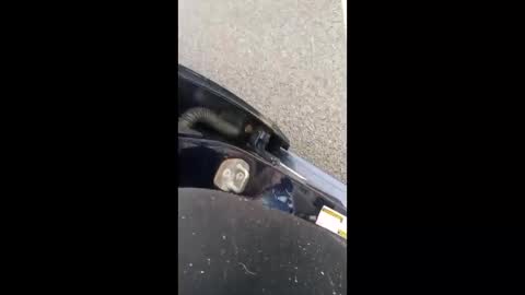 nikivega4u online show from March 2026 12:24:02 PM