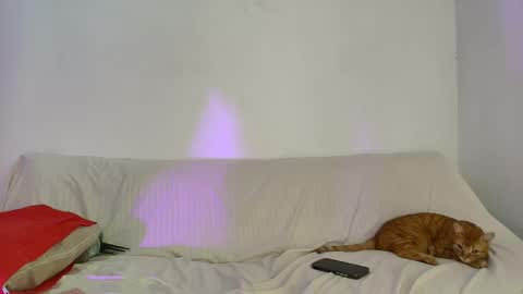 nikki_uwu online show from June 2026 08:00:01 PM