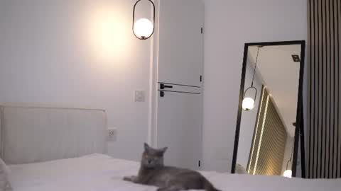 Snapshot of nikkimagic chatting on July 2026 06:43:02 AM Nicole online show from July 2026 06:43:02 AM