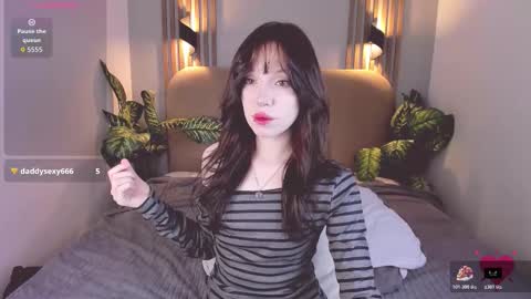 Nikki online show from December 2025 02:44:02 PM