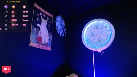 Nikky online show from December 2025 01:15:01 PM