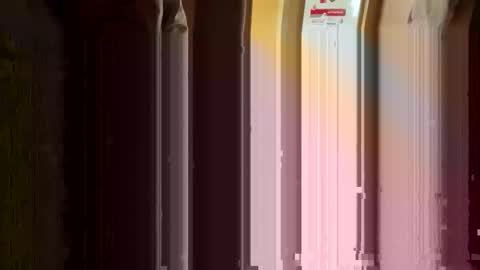 Nikolay online show from March 2026 03:23:02 AM