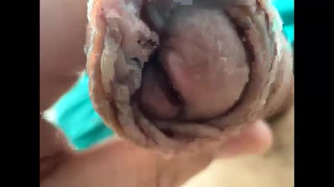 Nikolay online show from April 2026 09:22:02 AM