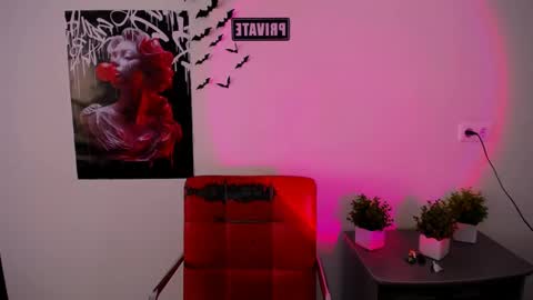 nikonara_ online show from March 2025 12:42:02 PM