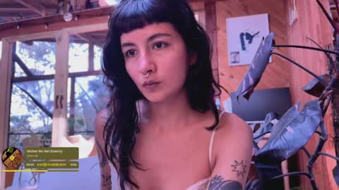 Nina.  online show from May 2026 07:44:01 PM