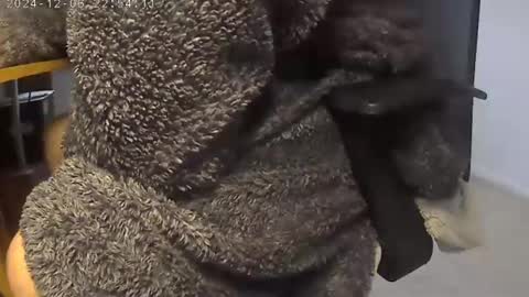 Snapshot of nineinchhard chatting on December 2024 09:28:01 AM nineinchhard online show from December 2024 09:28:01 AM