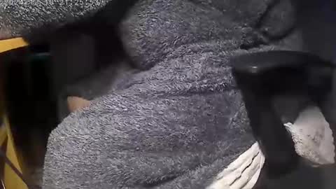 Snapshot of nineinchhard chatting on December 2024 08:00:02 AM nineinchhard online show from December 2024 08:00:02 AM