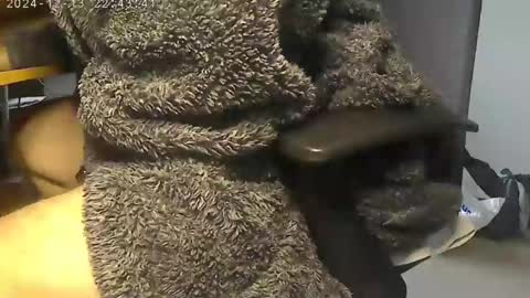 Snapshot of nineinchhard chatting on December 2024 09:19:02 AM nineinchhard online show from December 2024 09:19:02 AM