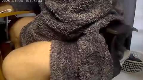 Snapshot of nineinchhard chatting on January 2025 10:05:01 AM nineinchhard online show from January 2025 10:05:01 AM