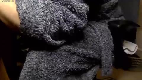 Snapshot of nineinchhard chatting on January 2025 06:47:02 AM nineinchhard online show from January 2025 06:47:02 AM