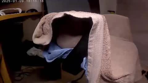 Snapshot of nineinchhard chatting on January 2025 06:15:01 PM nineinchhard online show from January 2025 06:15:01 PM