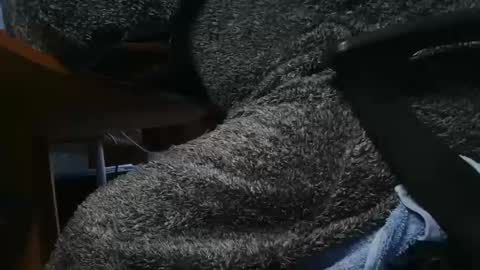 Snapshot of nineinchhard chatting on January 2025 10:22:01 AM nineinchhard online show from January 2025 10:22:01 AM