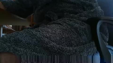 Snapshot of nineinchhard chatting on March 2025 08:02:01 AM nineinchhard online show from March 2025 08:02:01 AM