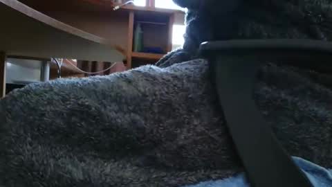 Snapshot of nineinchhard chatting on March 2025 10:20:02 AM nineinchhard online show from March 2025 10:20:02 AM