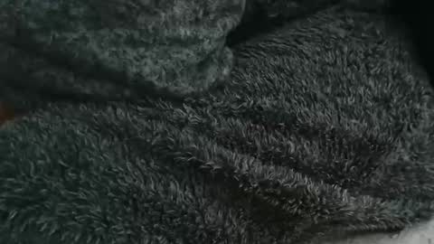 Snapshot of nineinchhard chatting on September 2025 08:46:02 AM nineinchhard online show from September 2025 08:46:02 AM