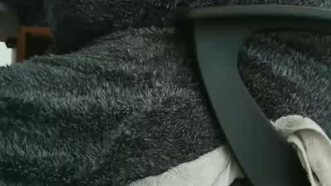 Snapshot of nineinchhard chatting on September 2025 09:56:01 AM nineinchhard online show from September 2025 09:56:01 AM