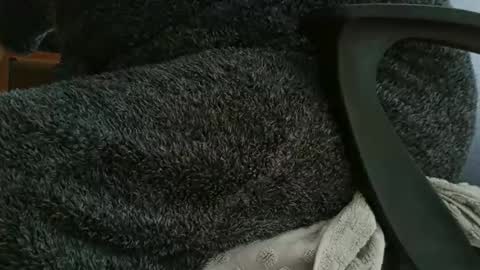 Snapshot of nineinchhard chatting on October 2025 11:09:02 AM nineinchhard online show from October 2025 11:09:02 AM