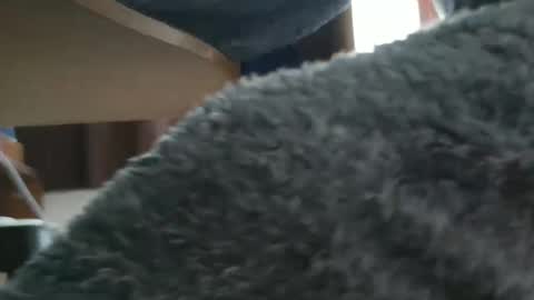 Snapshot of nineinchhard chatting on October 2025 09:43:01 AM nineinchhard online show from October 2025 09:43:01 AM