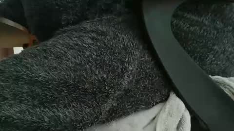 Snapshot of nineinchhard chatting on October 2025 10:26:01 AM nineinchhard online show from October 2025 10:26:01 AM