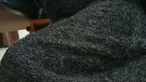 Snapshot of nineinchhard chatting on October 2025 10:19:02 AM nineinchhard online show from October 2025 10:19:02 AM