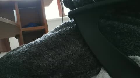 Snapshot of nineinchhard chatting on October 2025 10:49:01 AM nineinchhard online show from October 2025 10:49:01 AM