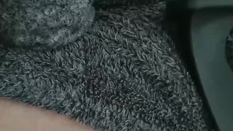 nineinchhard online show from April 2026 09:15:01 AM