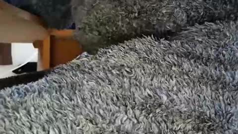nineinchhard online show from June 2026 09:52:01 AM