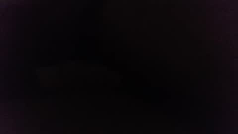 Ninjadance online show from December 2024 10:23:02 AM