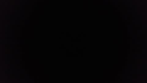 Ninjadance online show from December 2024 11:29:01 AM