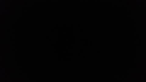 Ninjadance online show from March 2025 11:43:02 PM