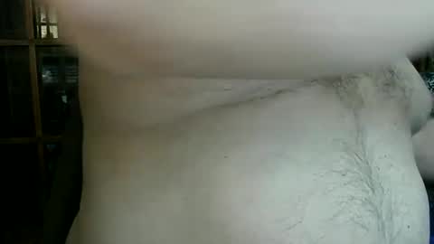 Nip Fun Bear online show from January 2025 10:19:01 PM