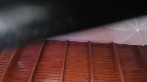 Sara  online show from January 2025 04:31:02 PM