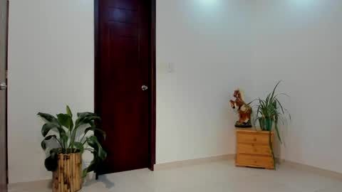 LIAM- noah online show from April 2026 12:29:02 PM