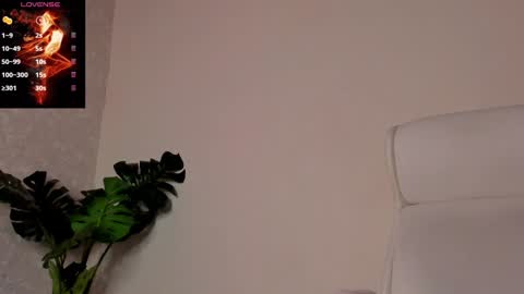 Noah online show from December 2024 06:27:02 PM