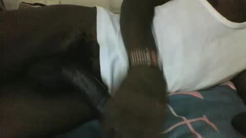 Snapshot of noella1234 chatting on March 2026 11:16:01 PM noella1234 online show from March 2026 11:16:01 PM