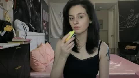 Snapshot of noelle1229 chatting on June 2026 05:12:02 PM Noelle online show from June 2026 05:12:02 PM