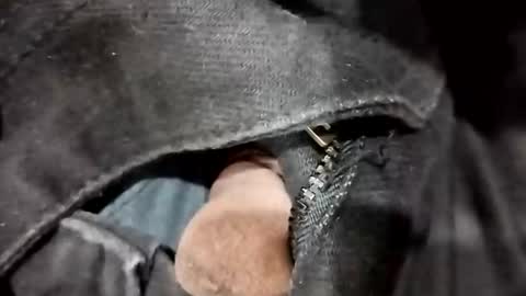 Snapshot of nooby942461 chatting on November 2025 06:07:01 PM sim nib online show from November 2025 06:07:01 PM