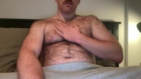 No Plan online show from December 2025 01:33:02 AM