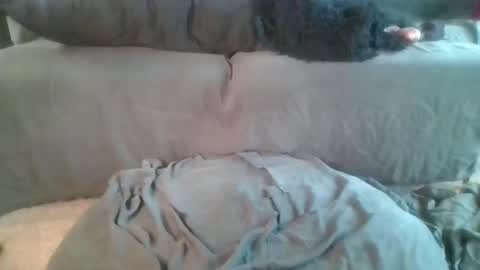 Nova online show from April 2026 06:10:01 PM